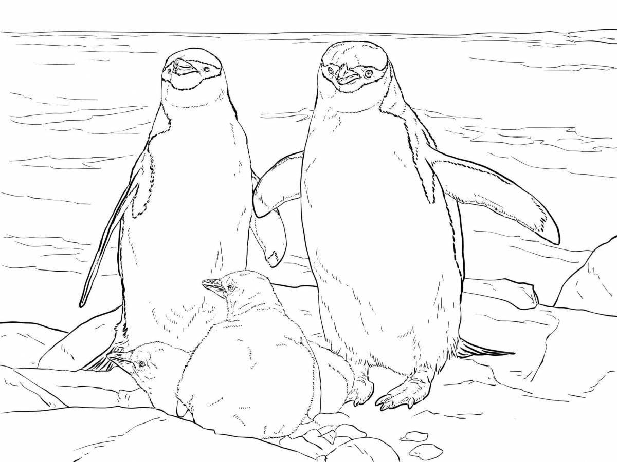 Coloring page loving penguin family
