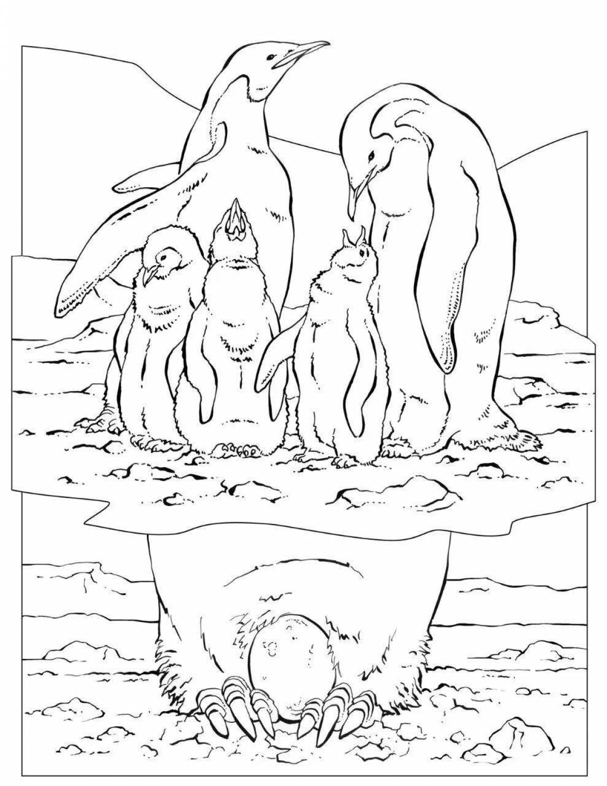 Coloring book of a family of smiling penguins