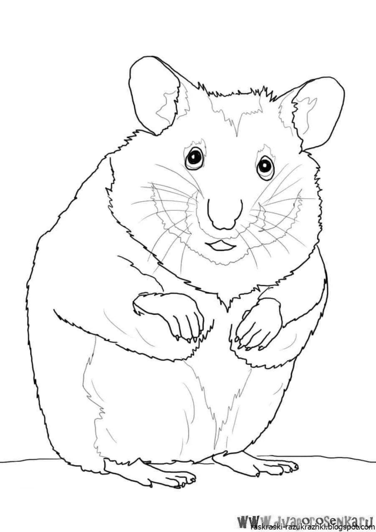 Adorable hamster coloring pages