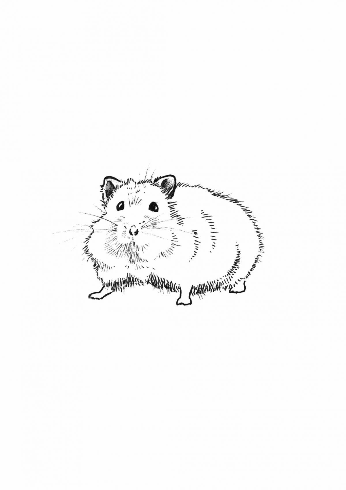 Happy hamster coloring pages