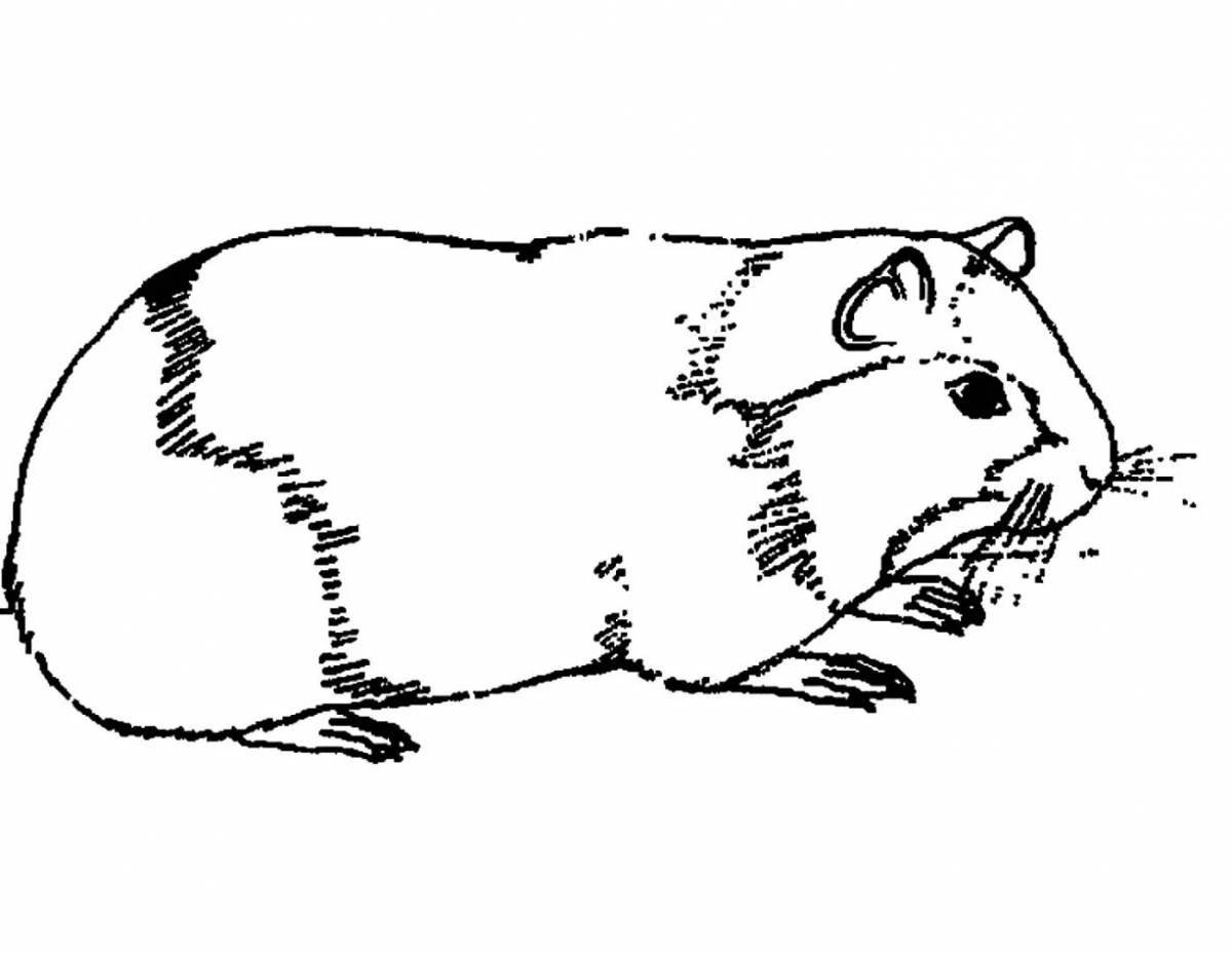 Naughty hamster coloring pages