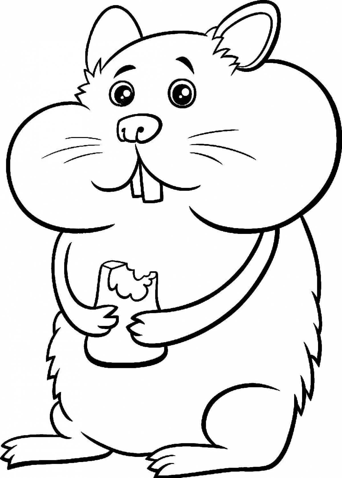 Fancy hamster coloring pages