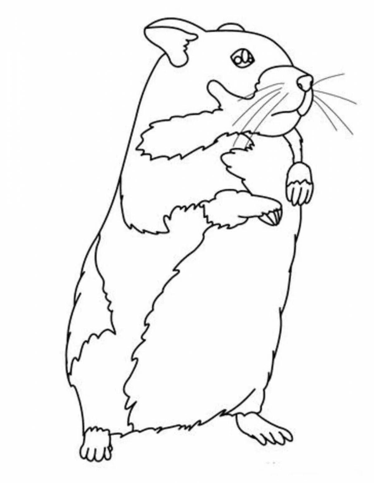 Sparkling hamster coloring pages