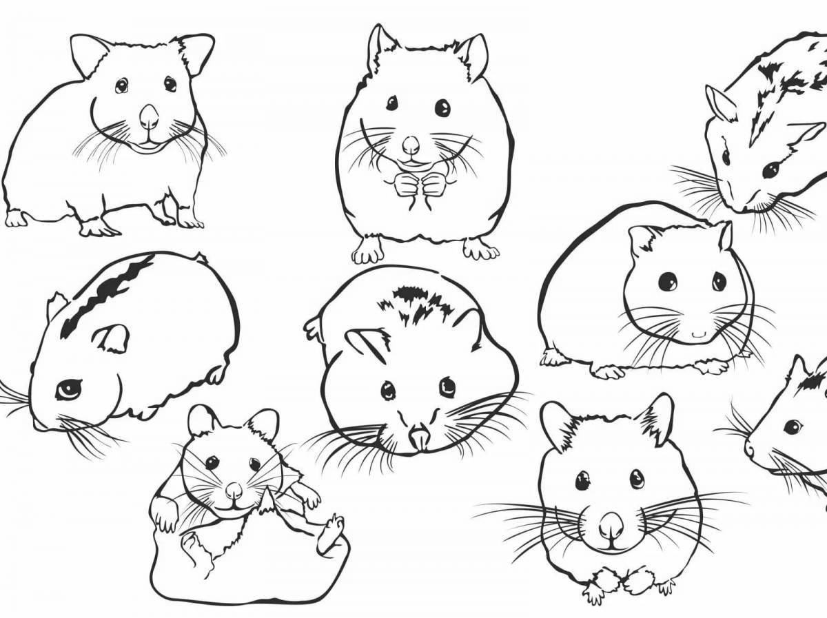 Authentic hamster coloring pages