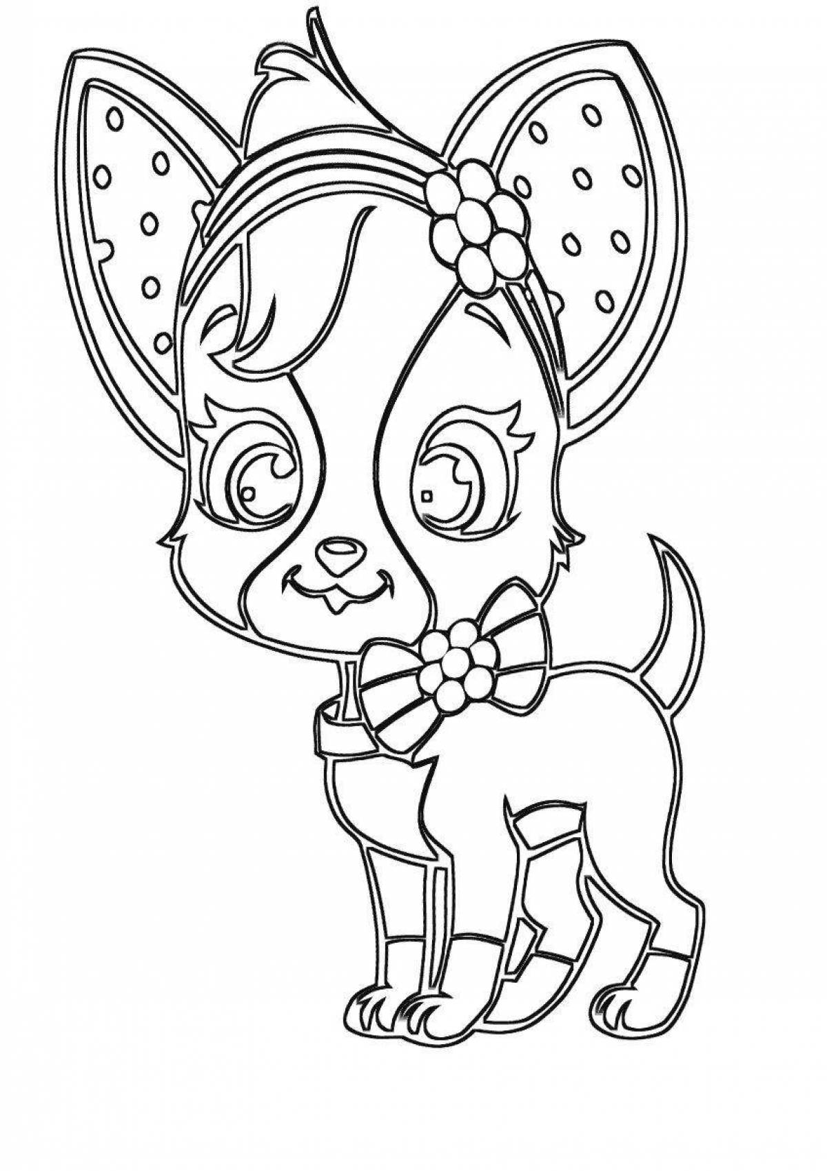 Coloring page playful chihuahua dog