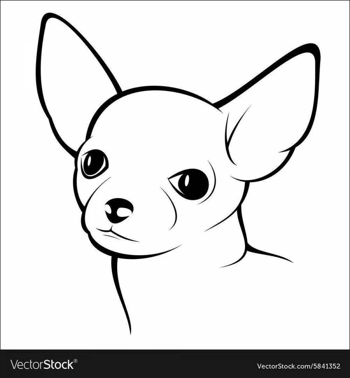 Coloring page cute chihuahua dog