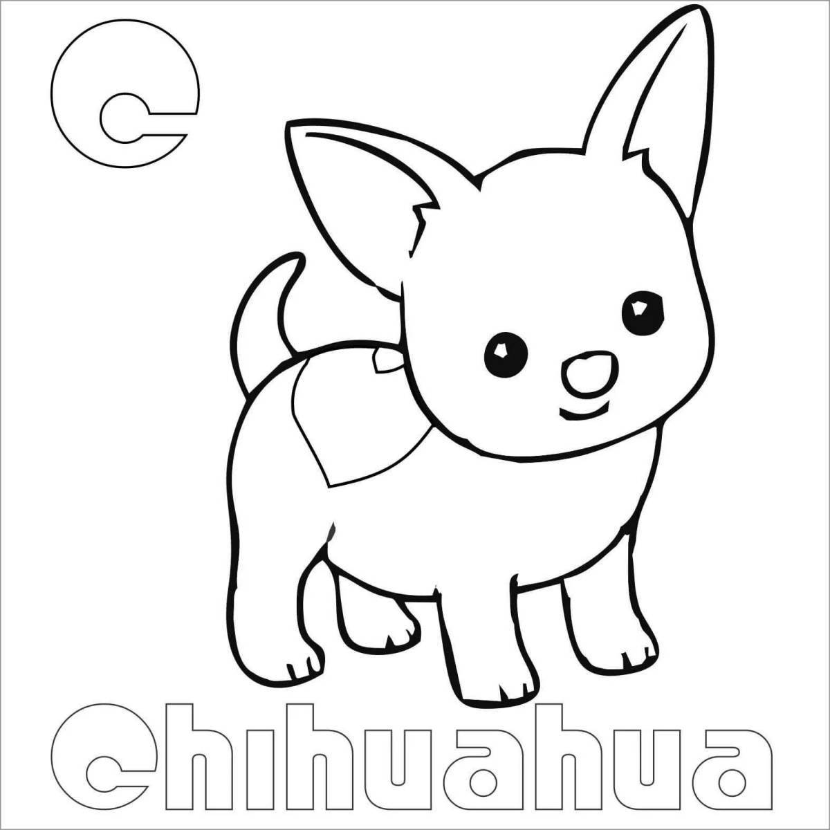 Coloring page tiny chihuahua dog