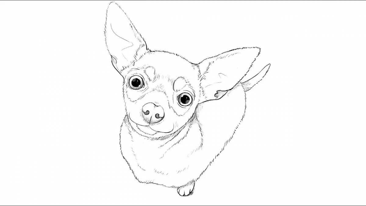 Coloring page mischievous chihuahua dog