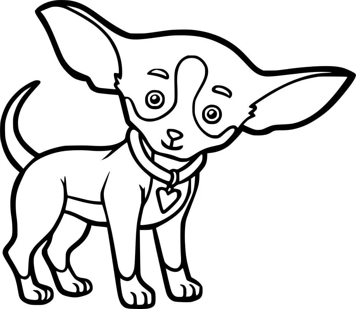 Раскраска энергичная собака чихуахуа