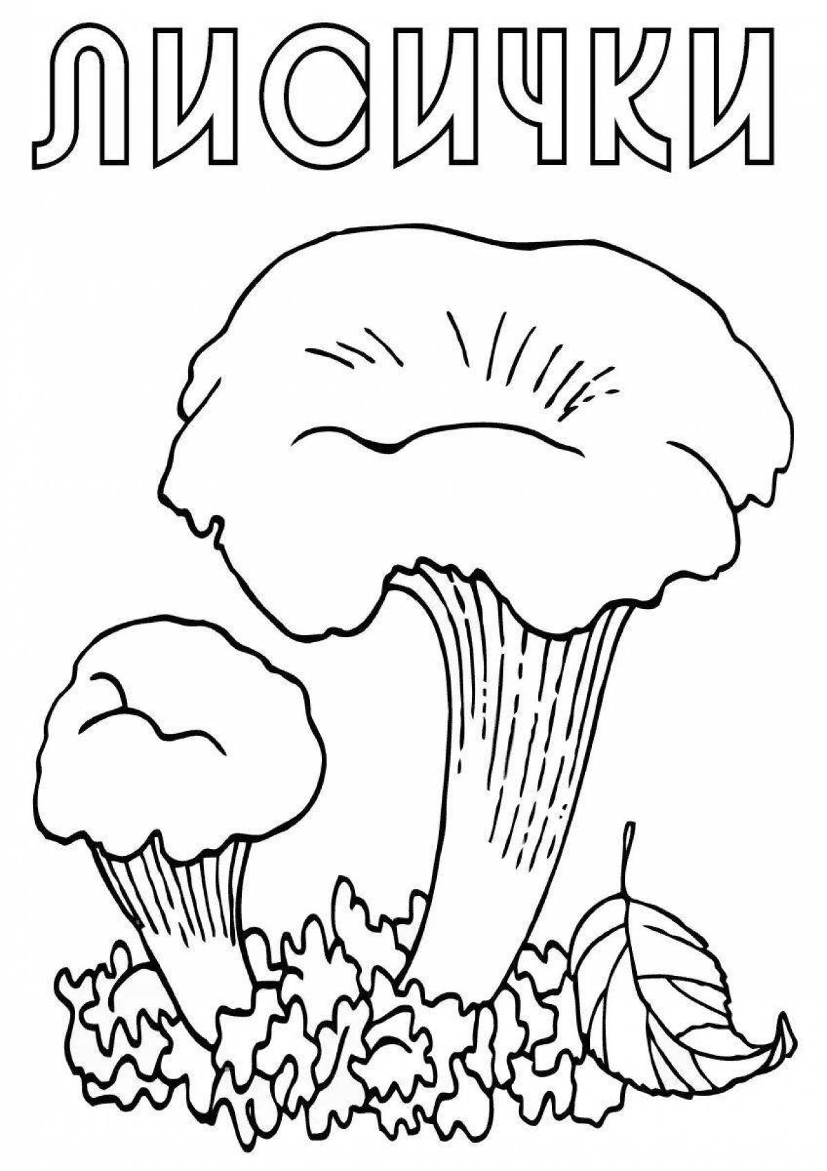 Восхитительная страница раскраски структуры грибов