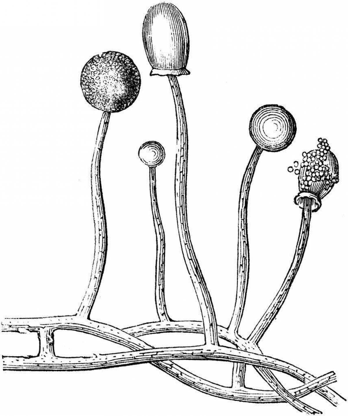 Adorable Mushroom Structure Coloring Page