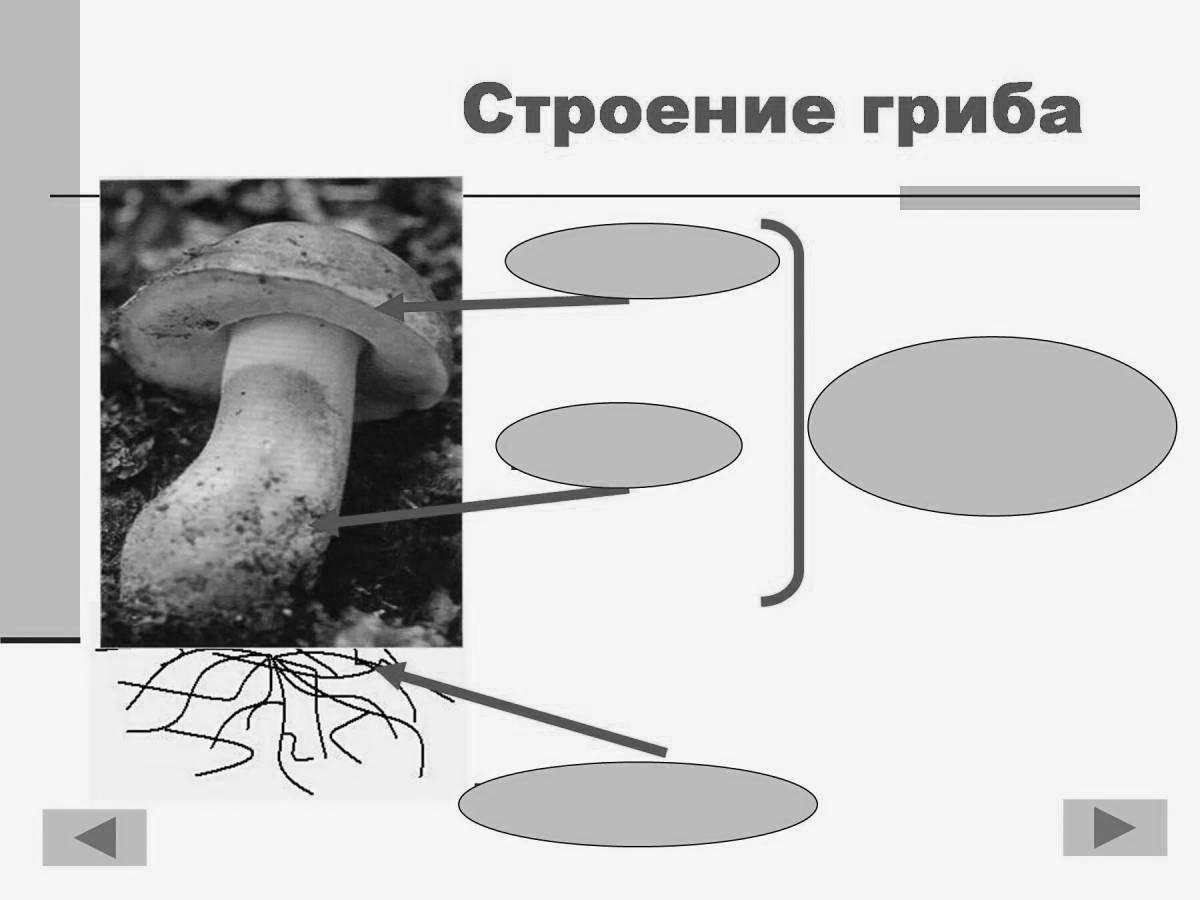 Coloring page charming mushroom structure