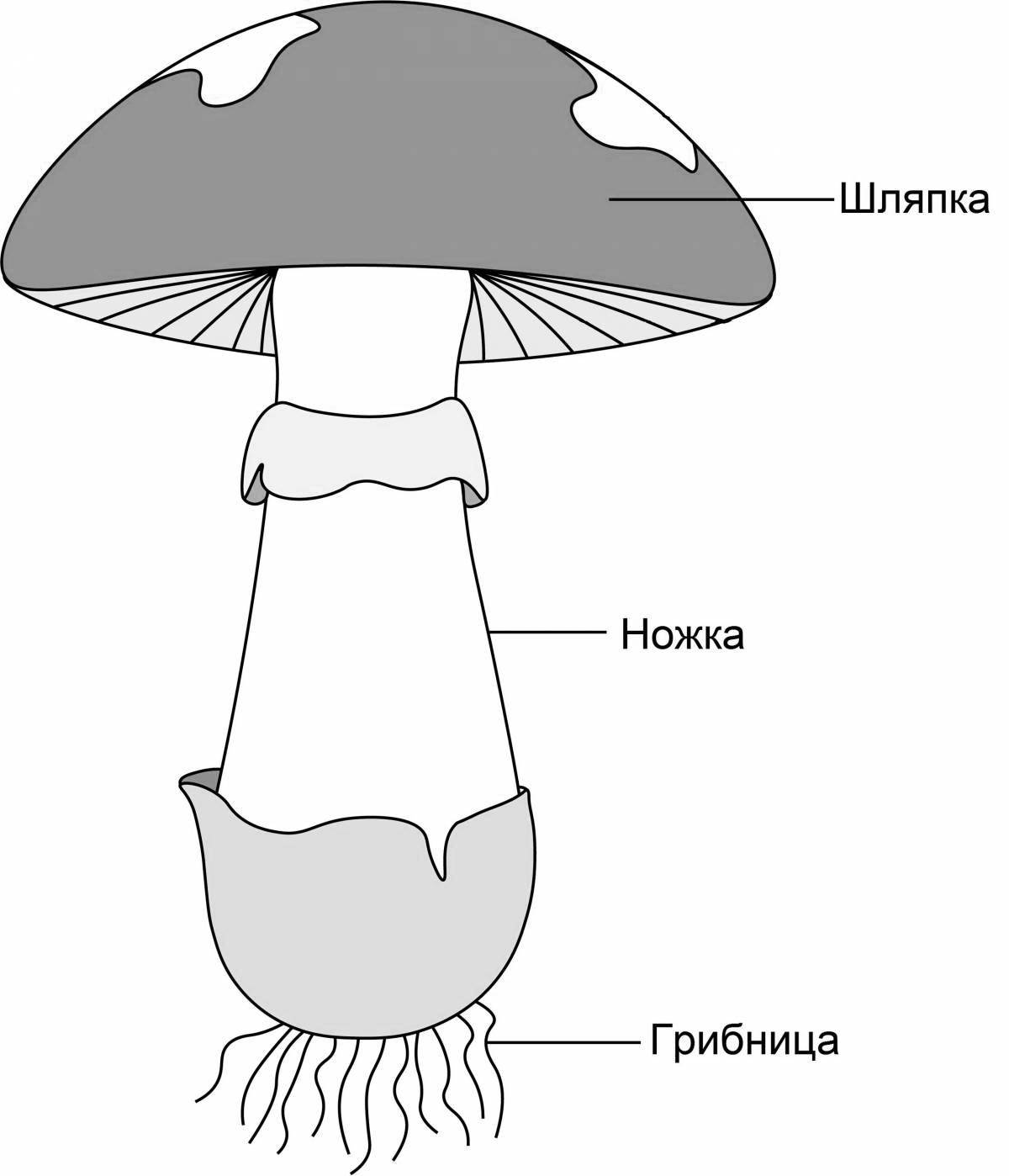 Coloring page with tempting mushroom structure