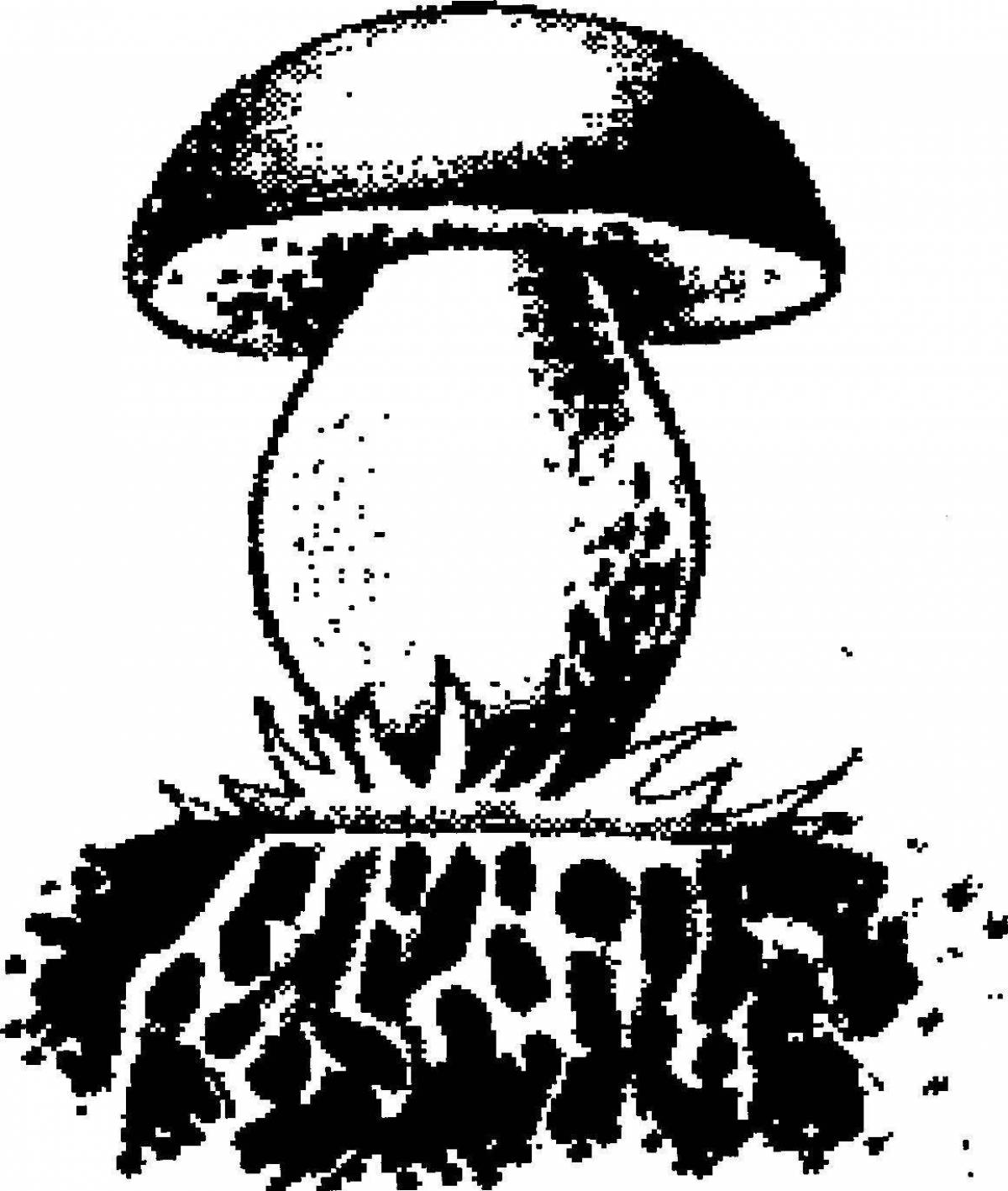 Раскраска веселая грибная структура