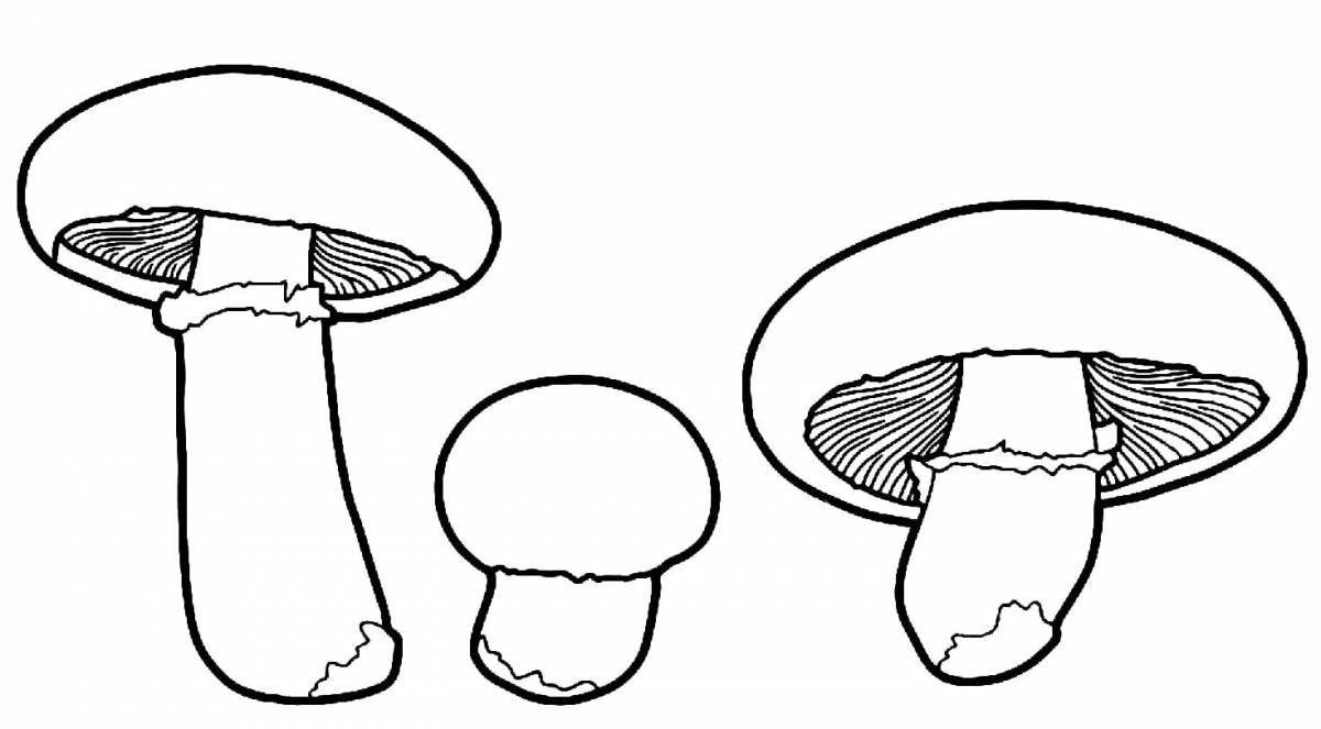 Coloring book humorous mushroom structure