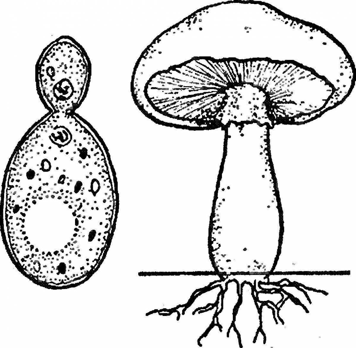 Coloring page bizarre mushroom structure