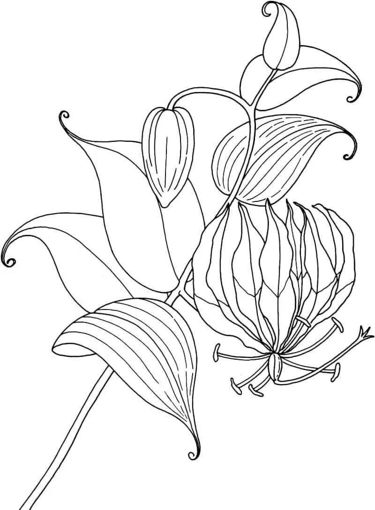Gorgeous gladiolus coloring page