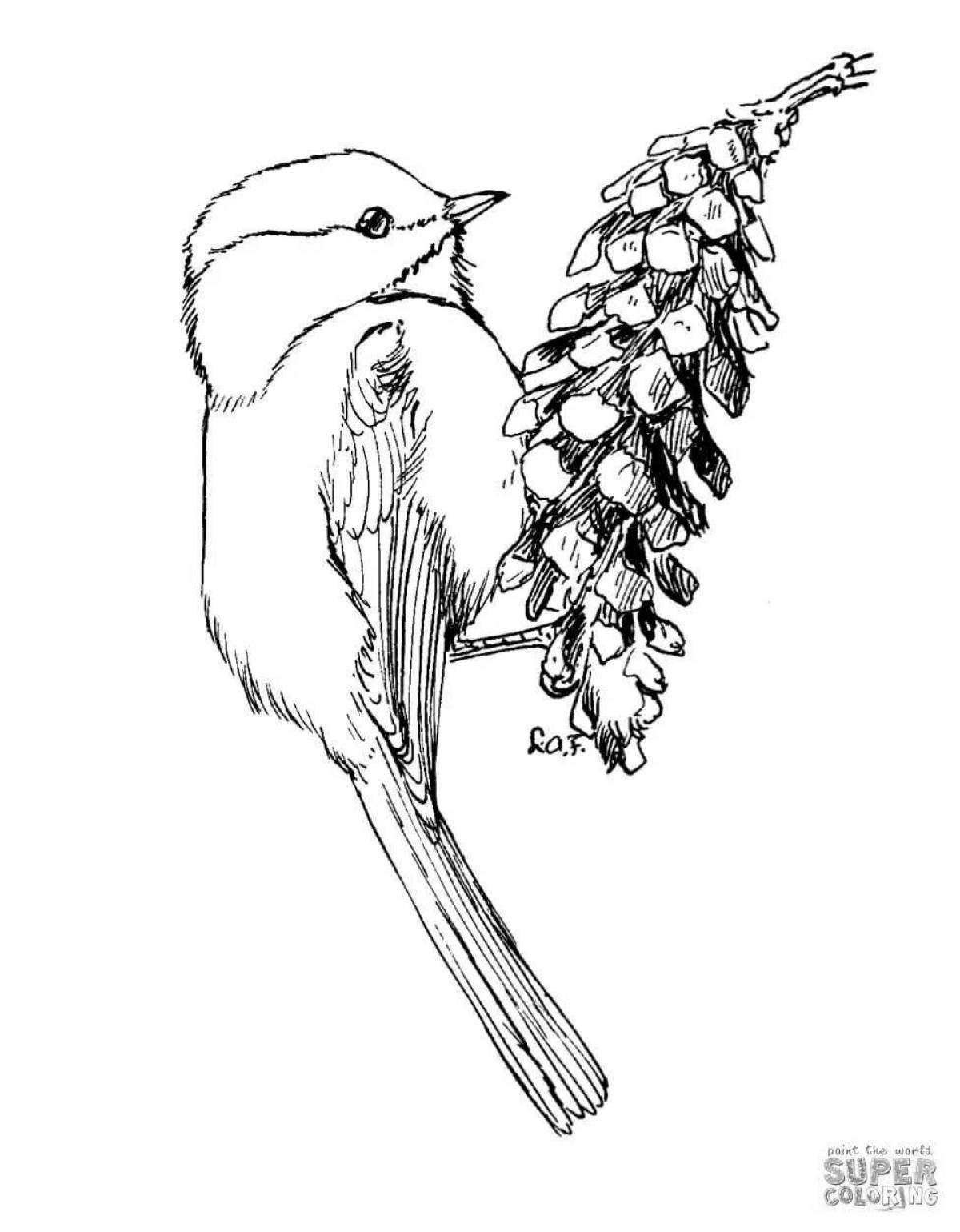 Coloring page adorable titmouse day