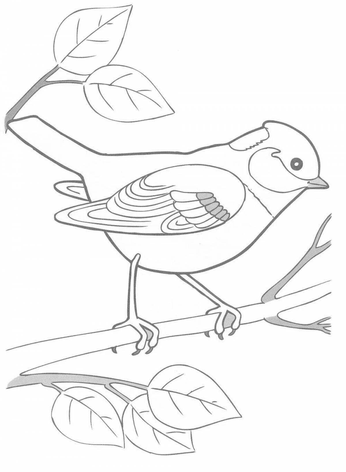 Ecstatic titmouse day coloring page