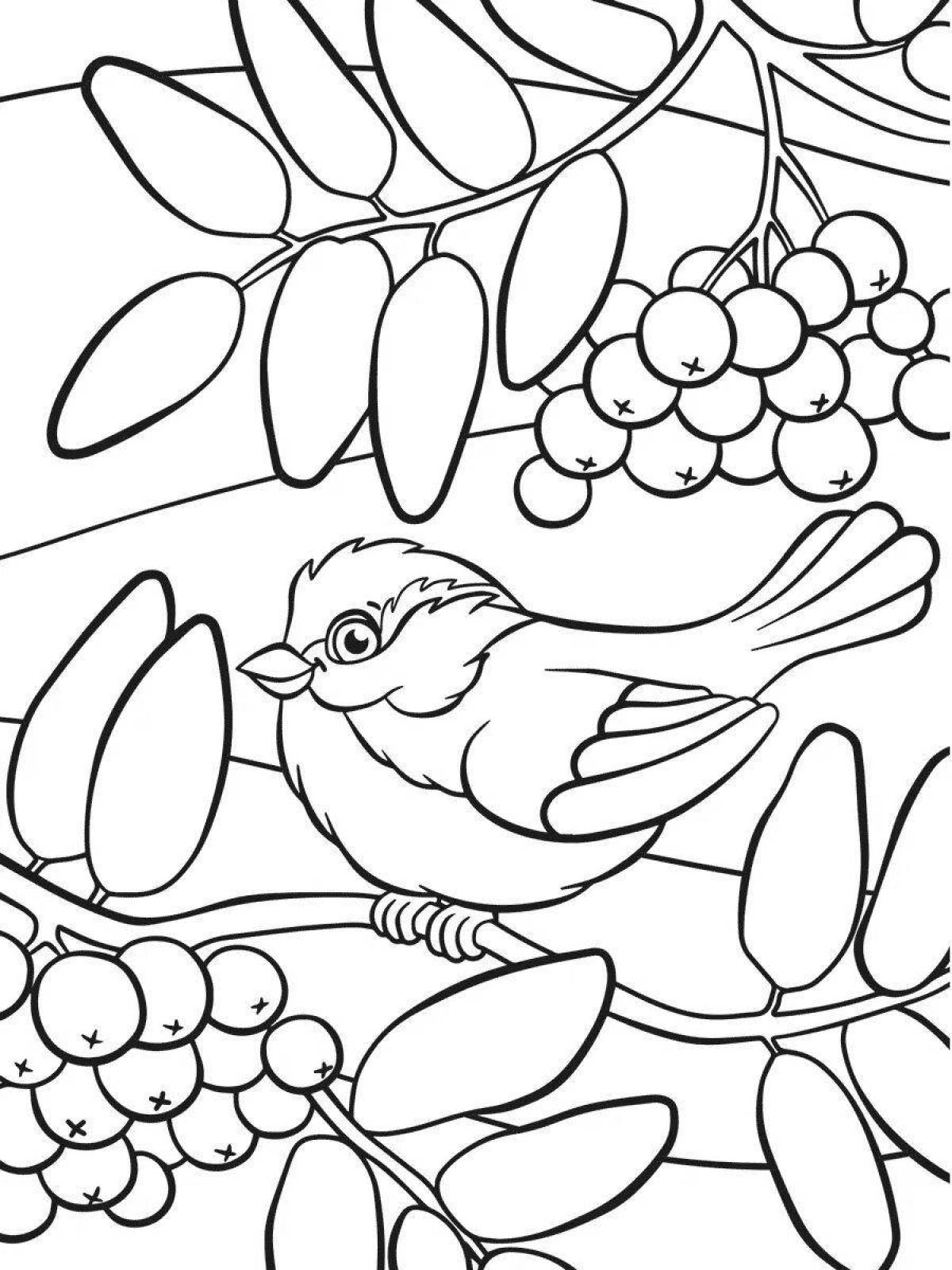 Exquisite tit day coloring book