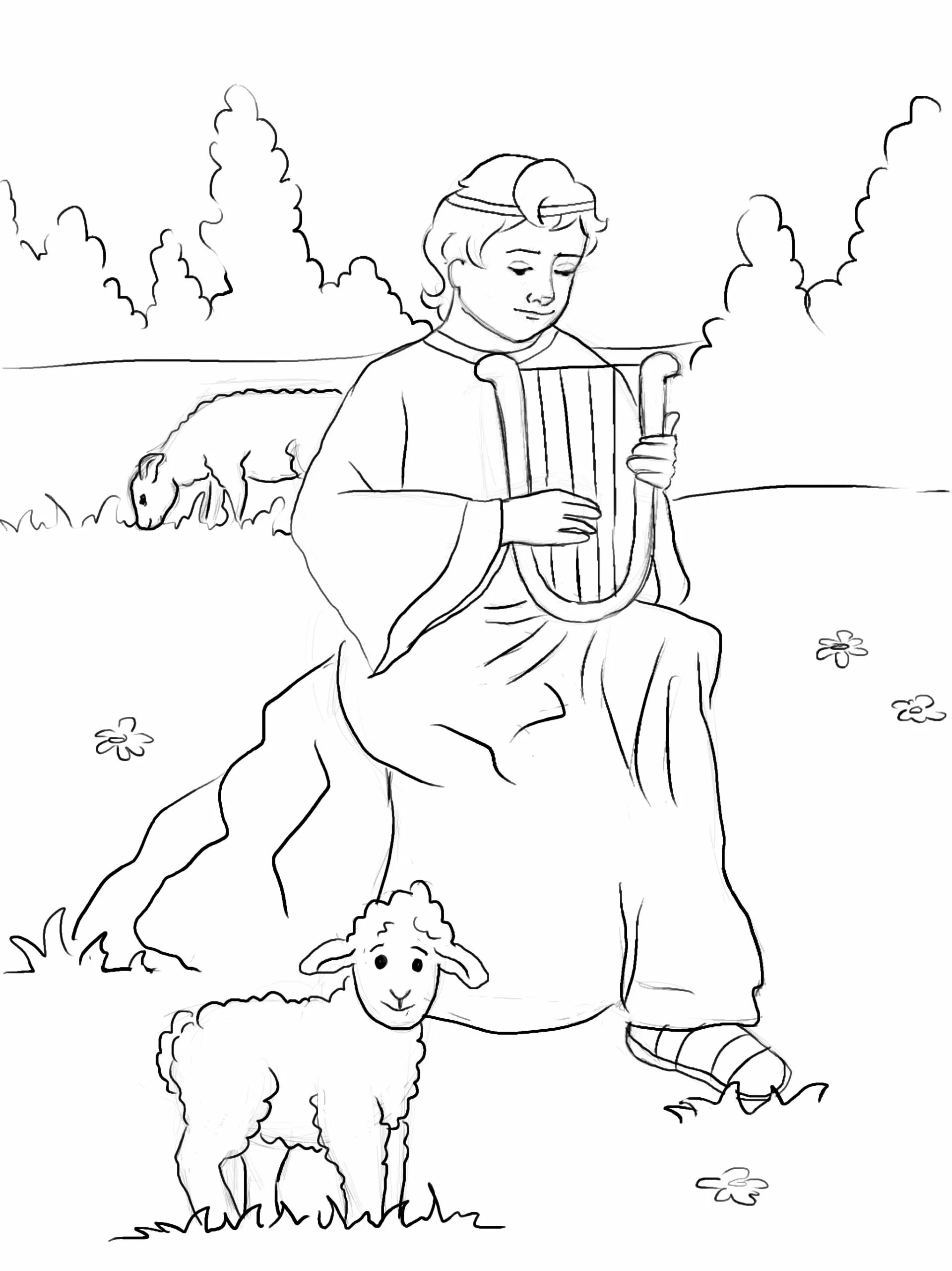 Photo Coloring book shepherd lel in multi-colored packaging