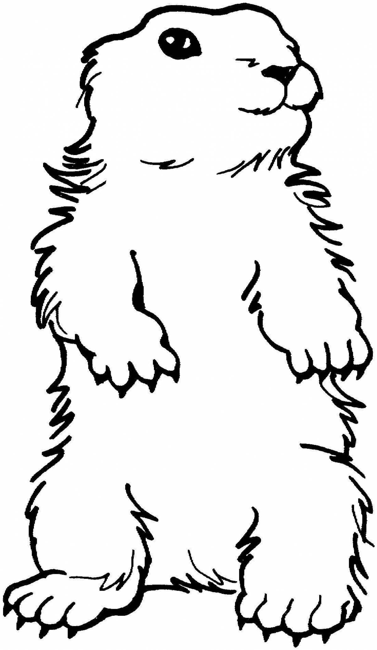 Attractive groundhog coloring page