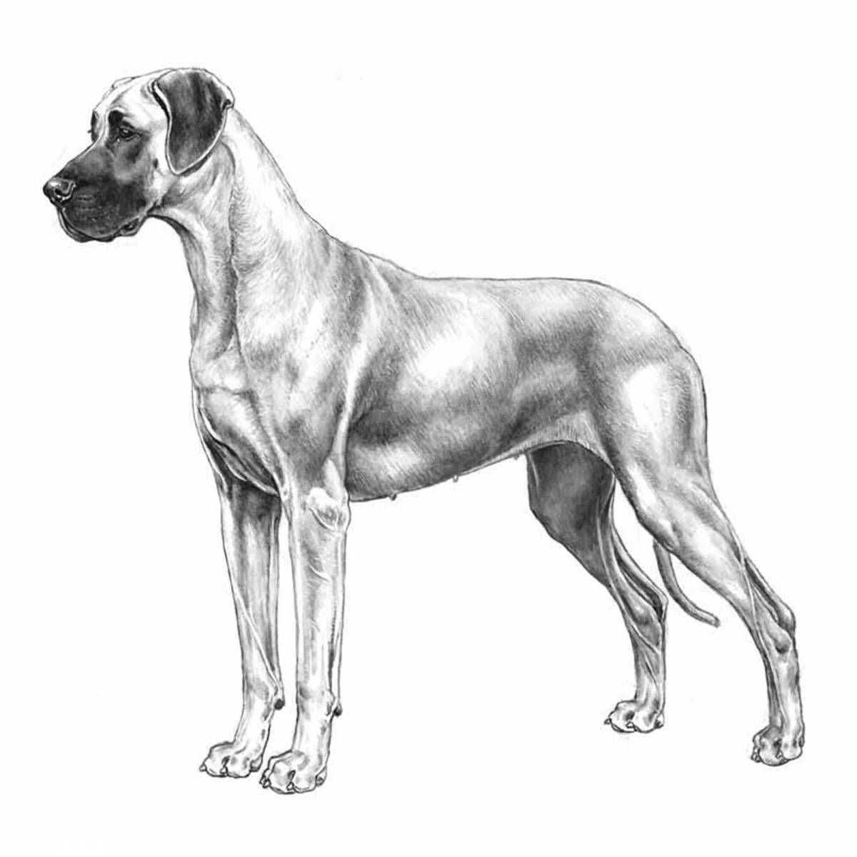 Красочная страница раскраски немецкая собака
