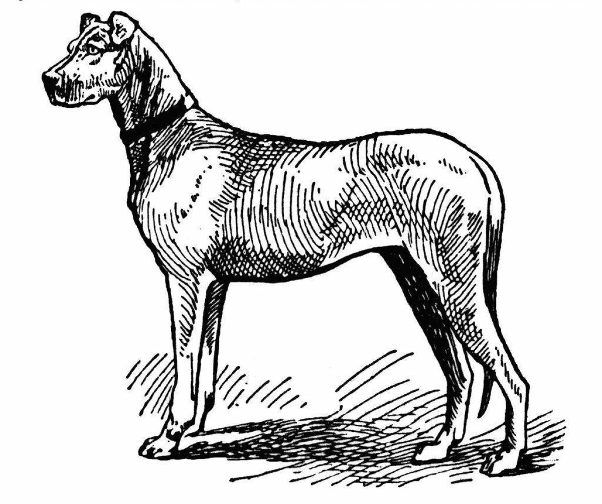 Раскраска яркая немецкая собака
