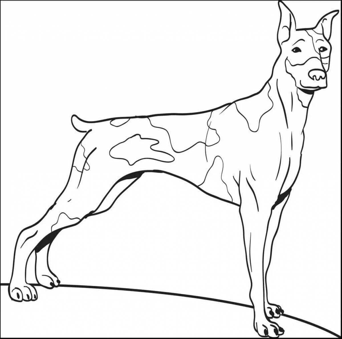 Раскраска очаровательная немецкая собака