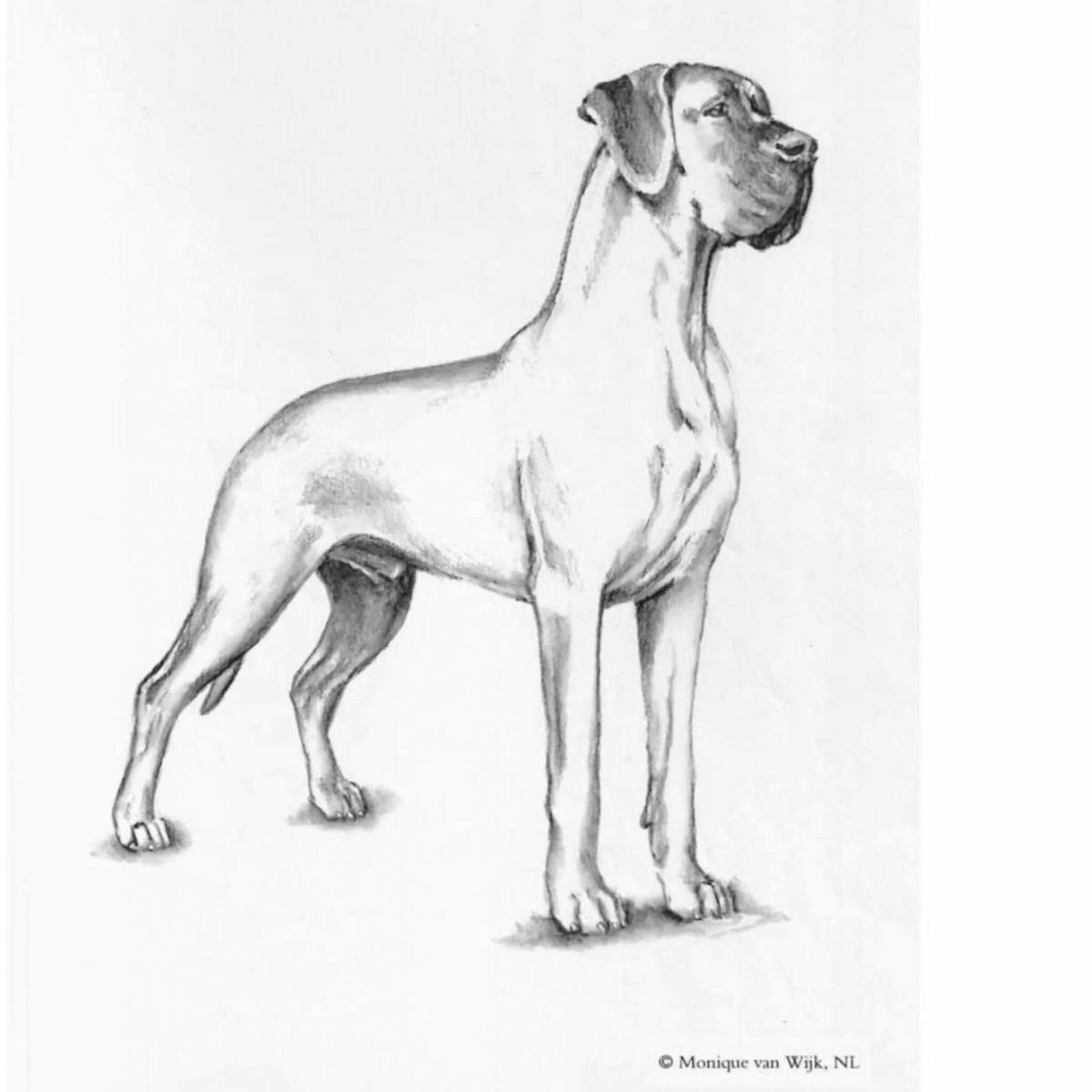 Красочная немецкая собака раскраска