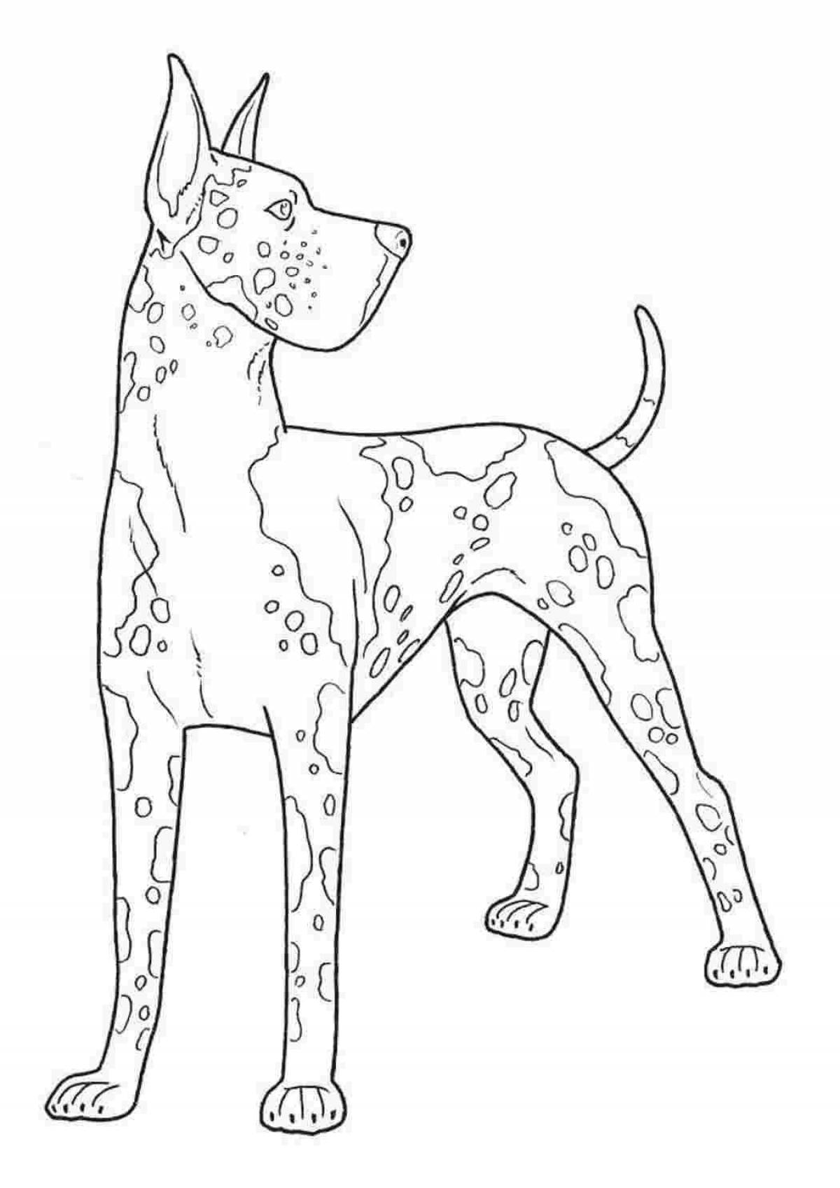 Раскраска общительная немецкая собака