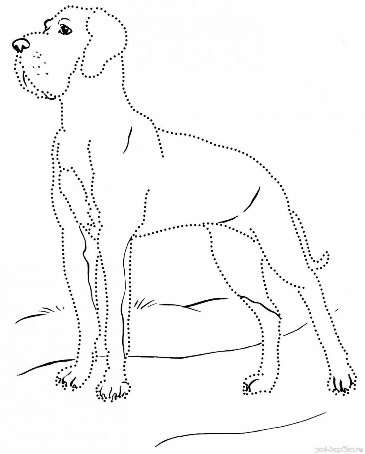 Раскраска волнистая немецкая собака