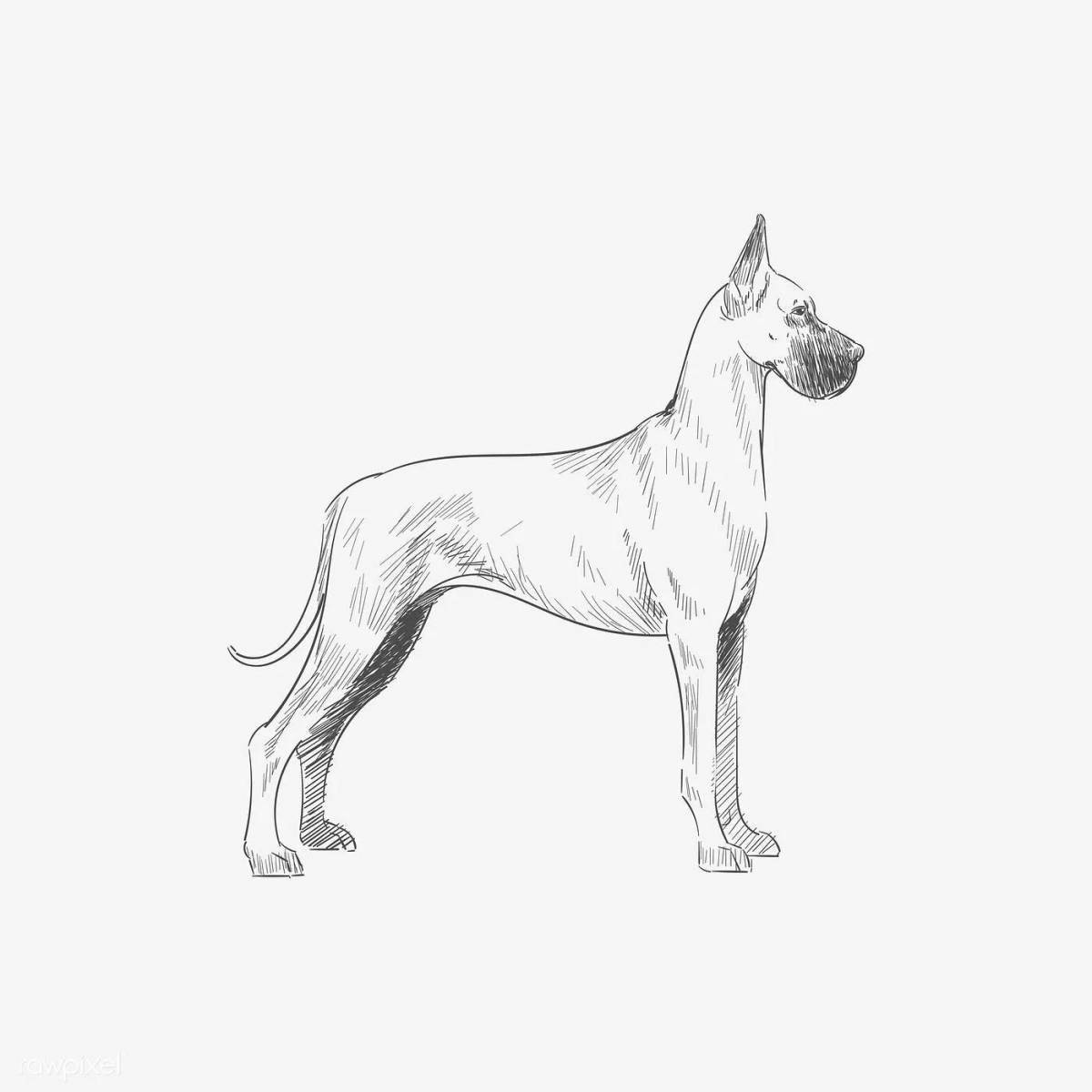 Раскраска взволнованная немецкая собака