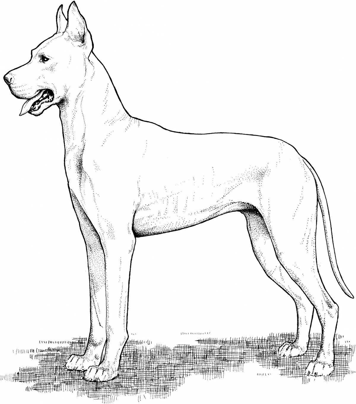 Раскраска смелая немецкая собака