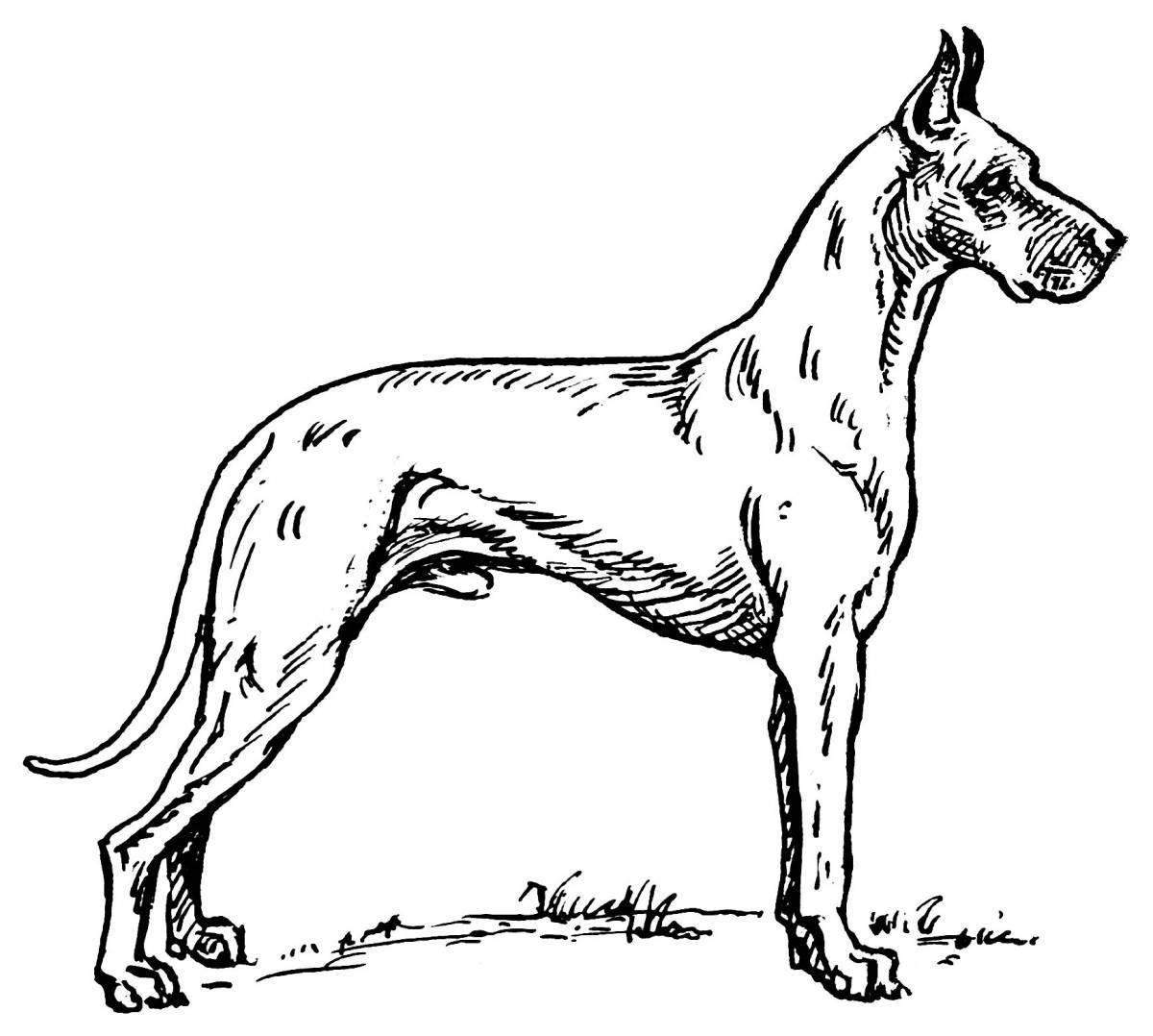 Раскраска живая немецкая собака
