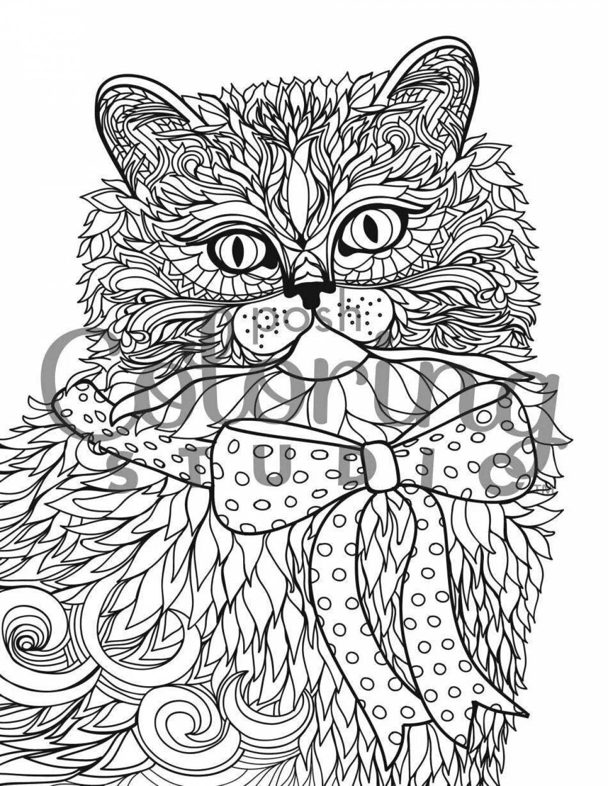 Coloring fluffy Kazan cat