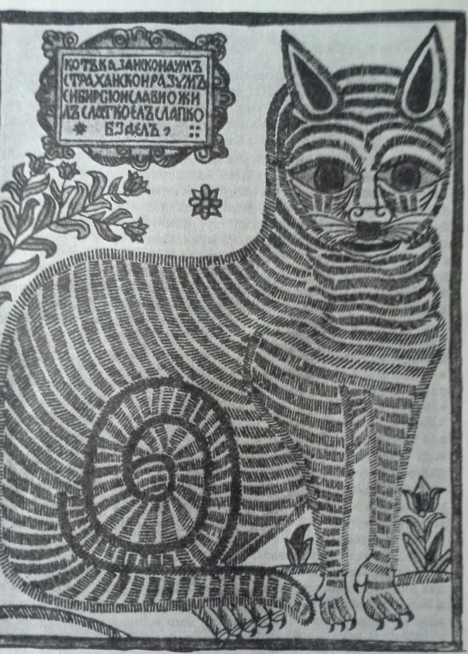 Интригующая раскраска казанского кота