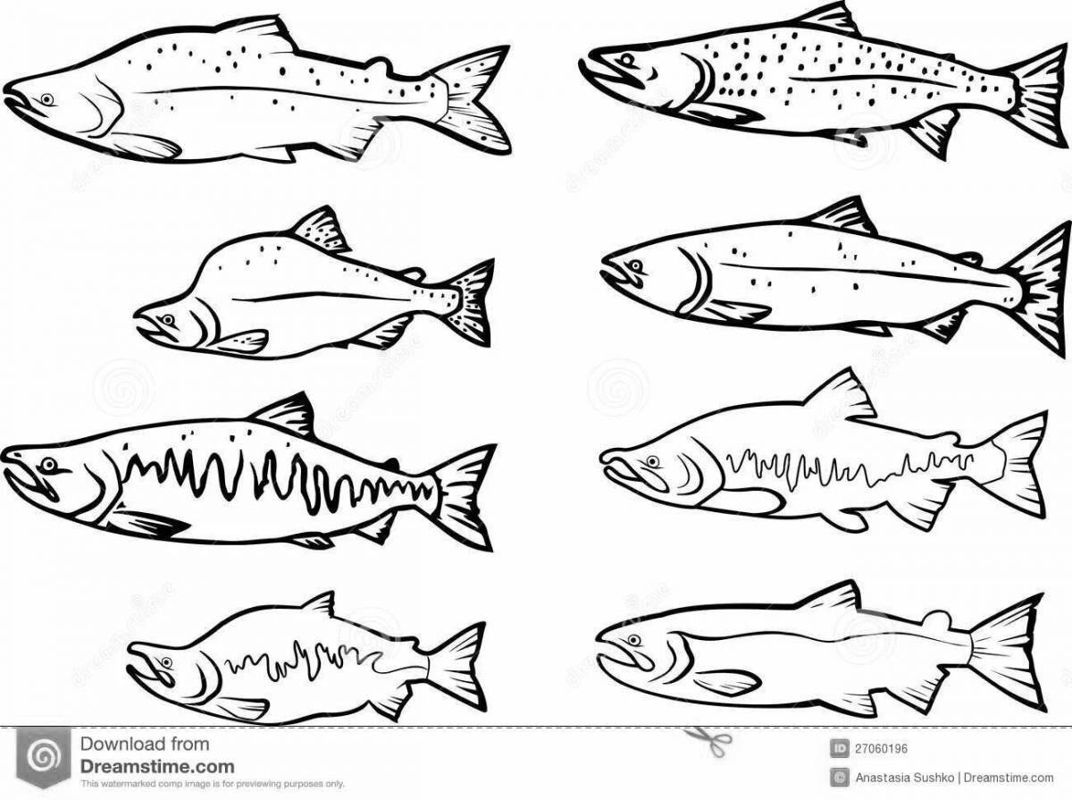 Coloring page attractive salmon fish