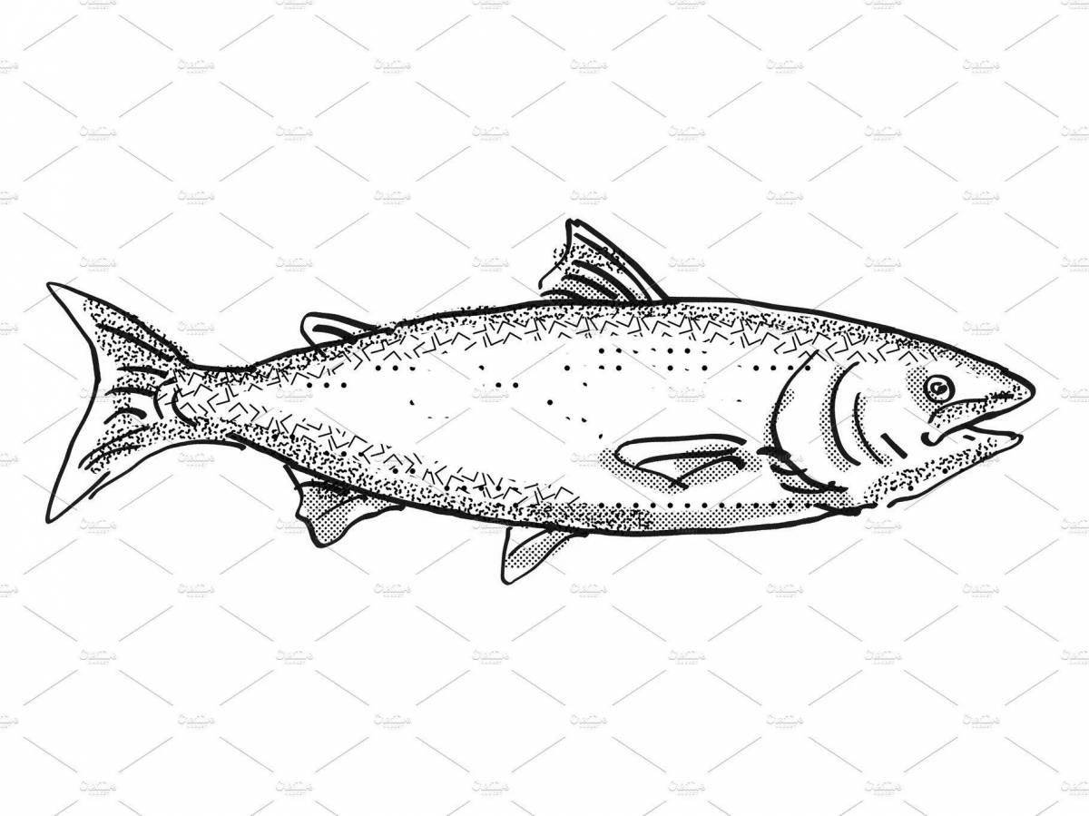 Coloring page beautiful salmon fish