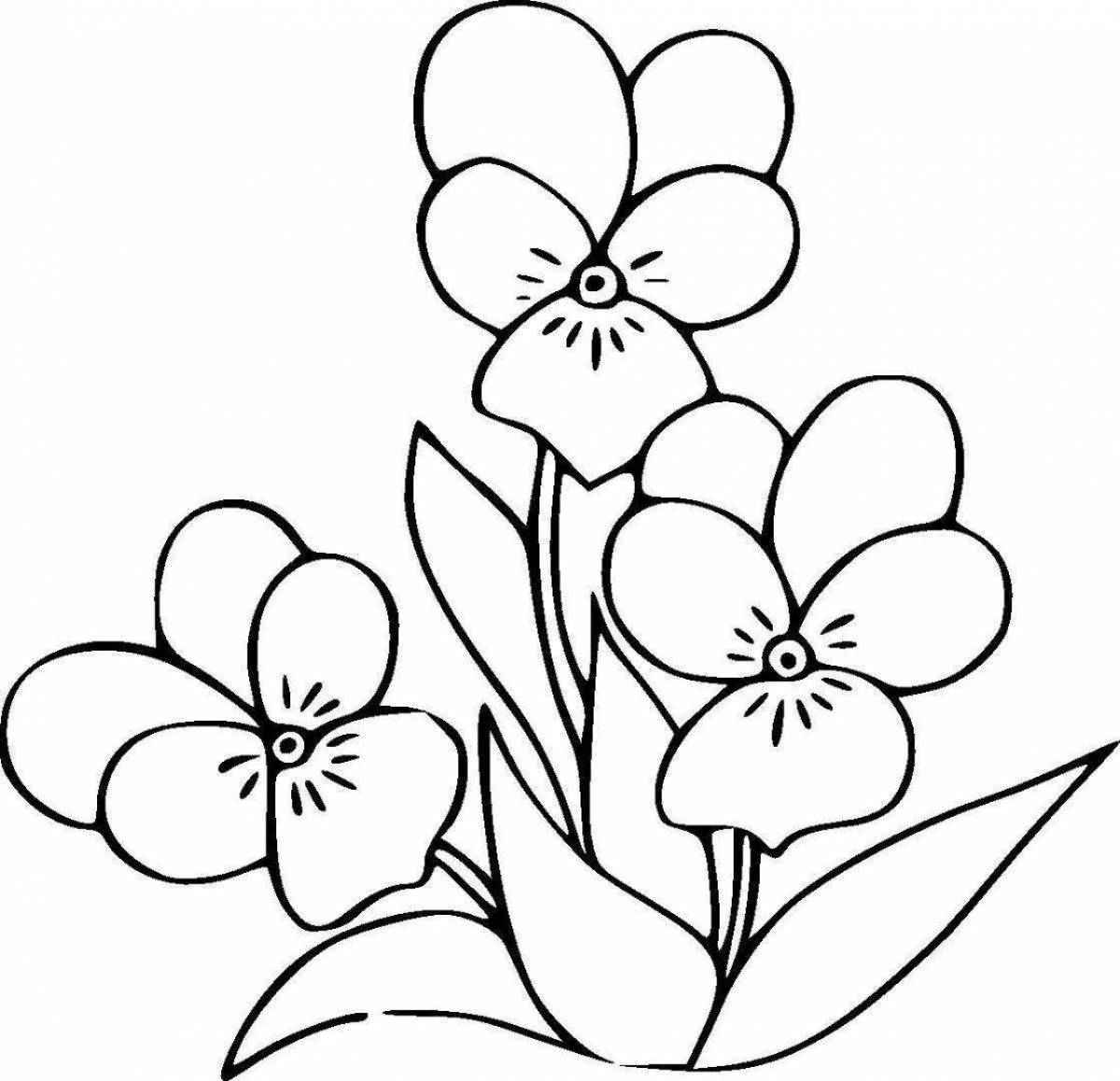 Раскраска цветок фиалка