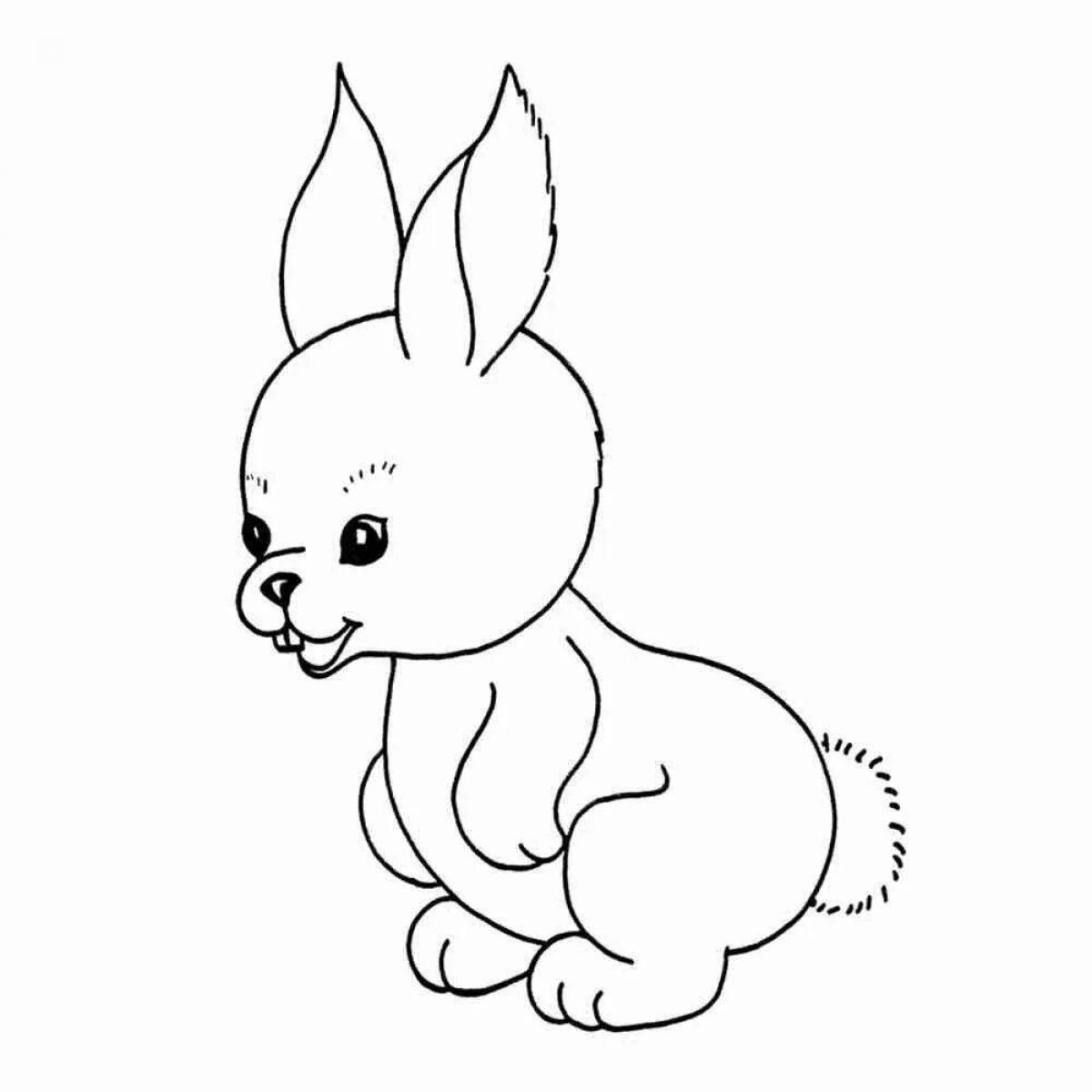 Colourful hare coloring book for kids