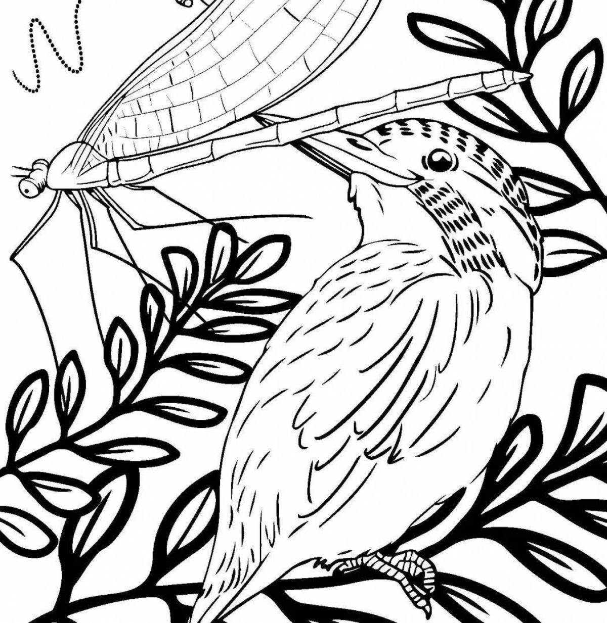 Gorgeous amazing animal coloring pages