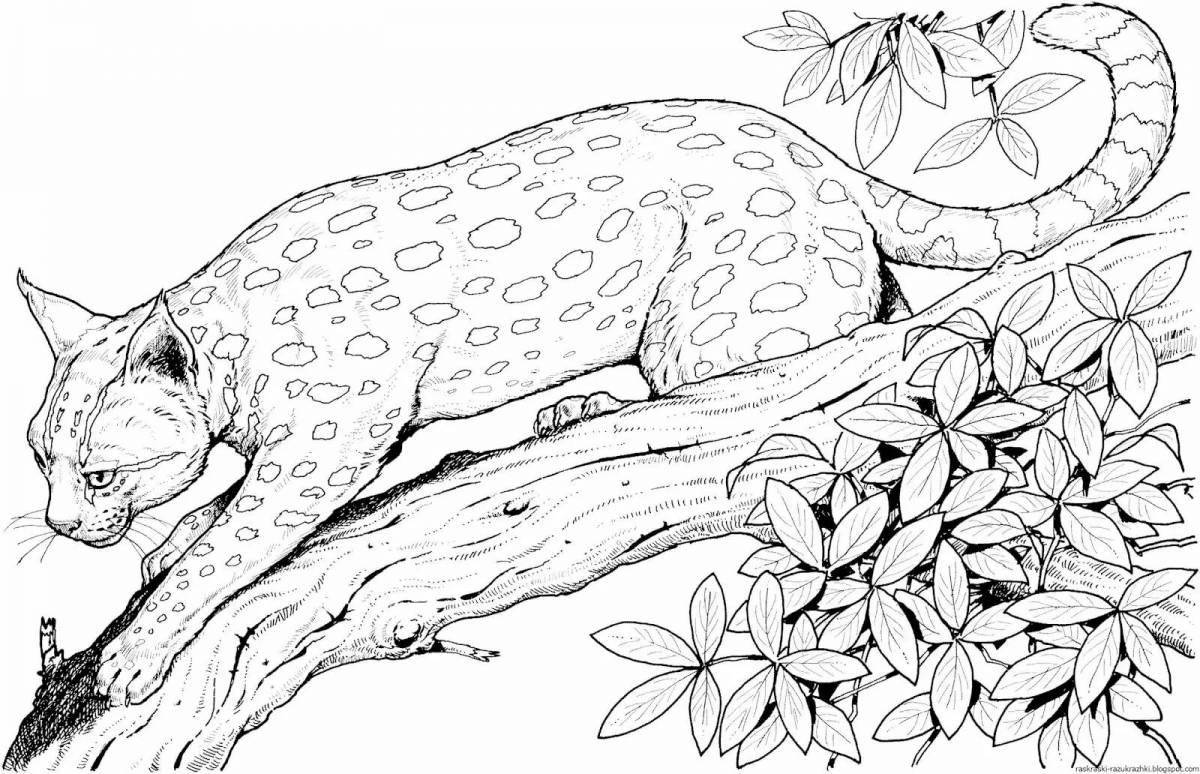 Joyful amazing animal coloring pages