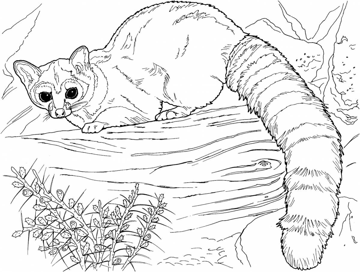 Luxury coloring pages with amazing animals