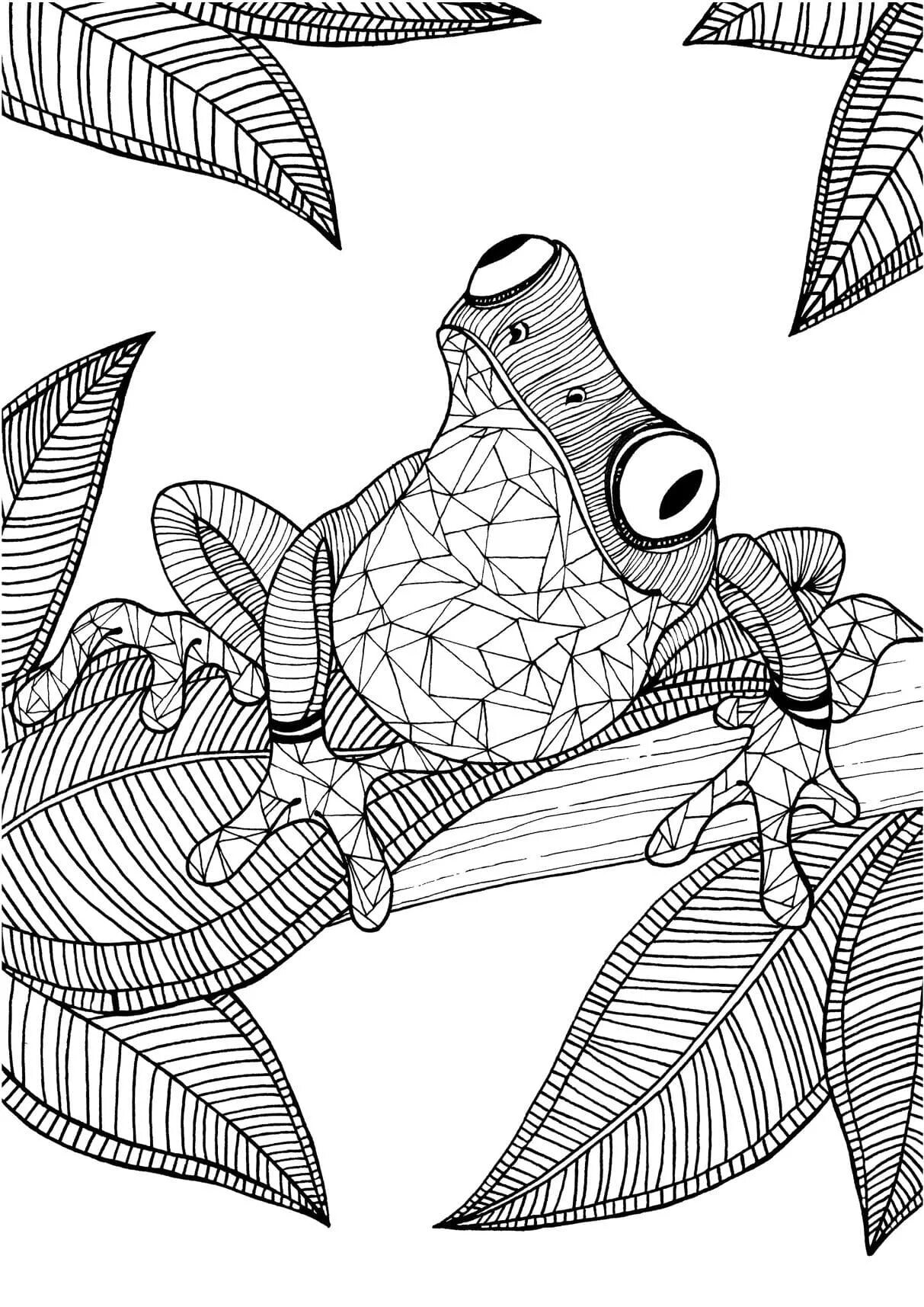 Attracting amazing animal coloring page