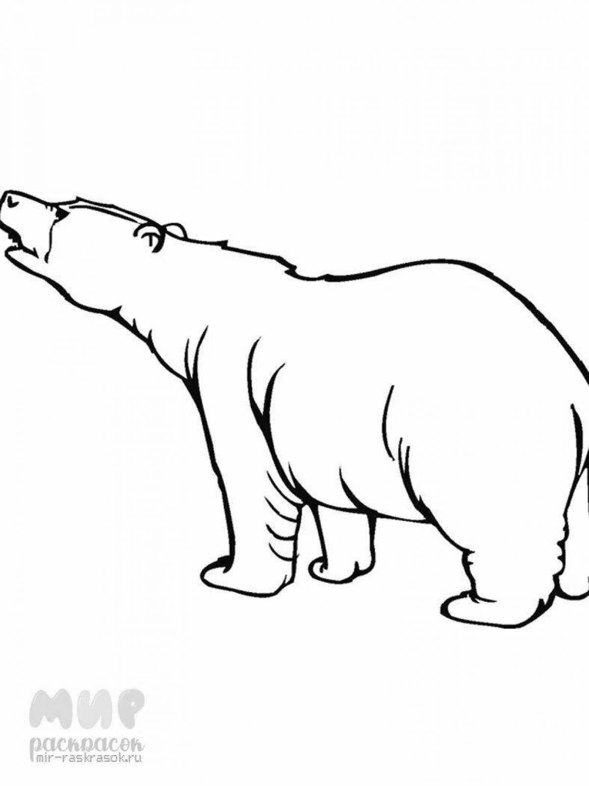 Раскраска дружелюбный белый медведь