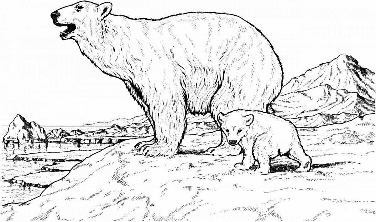 Раскраска любопытный белый медведь