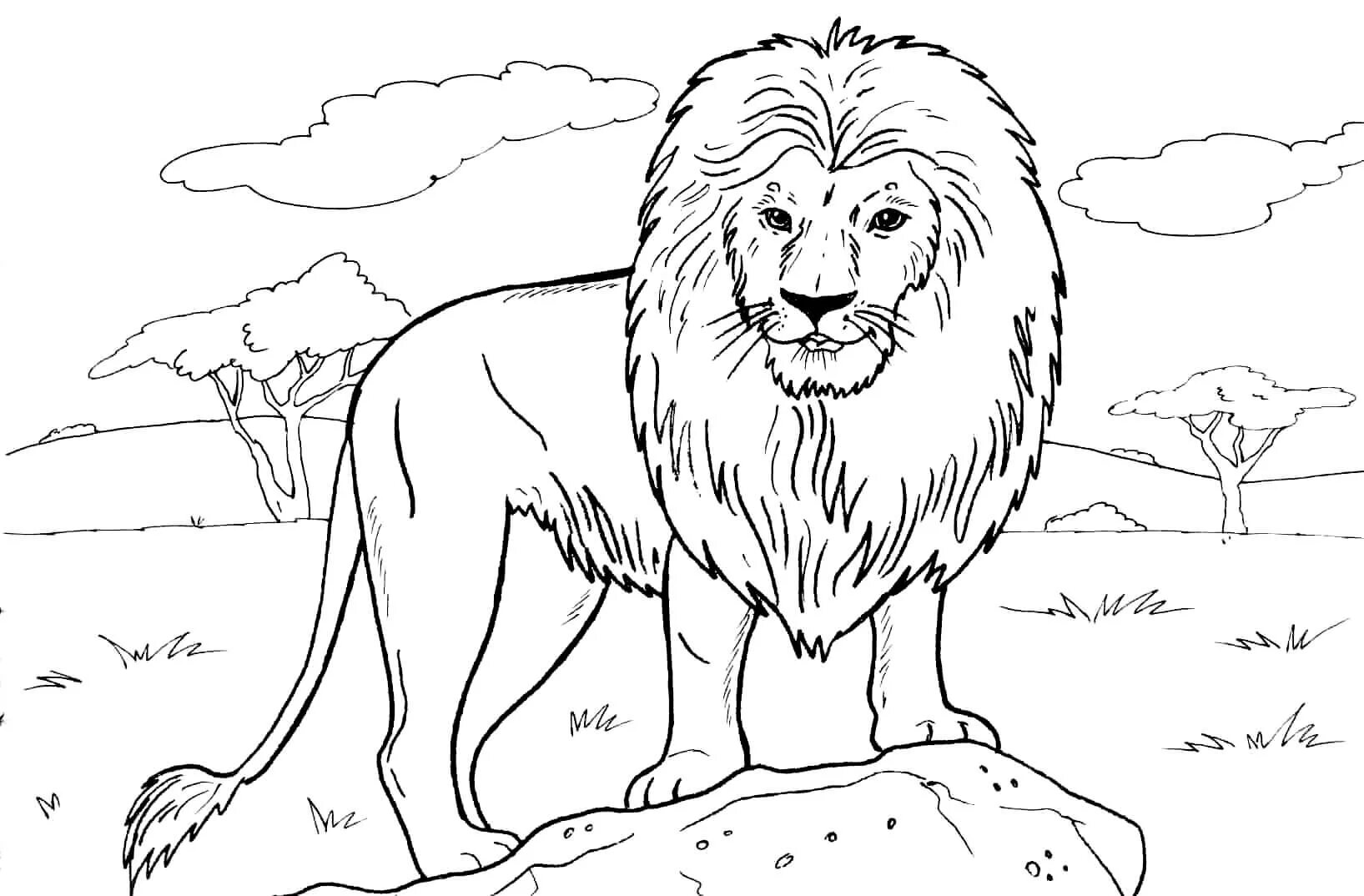Интригующая страница раскраски льва