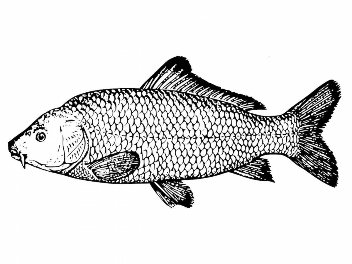 Яркая структура раскраски рыбы
