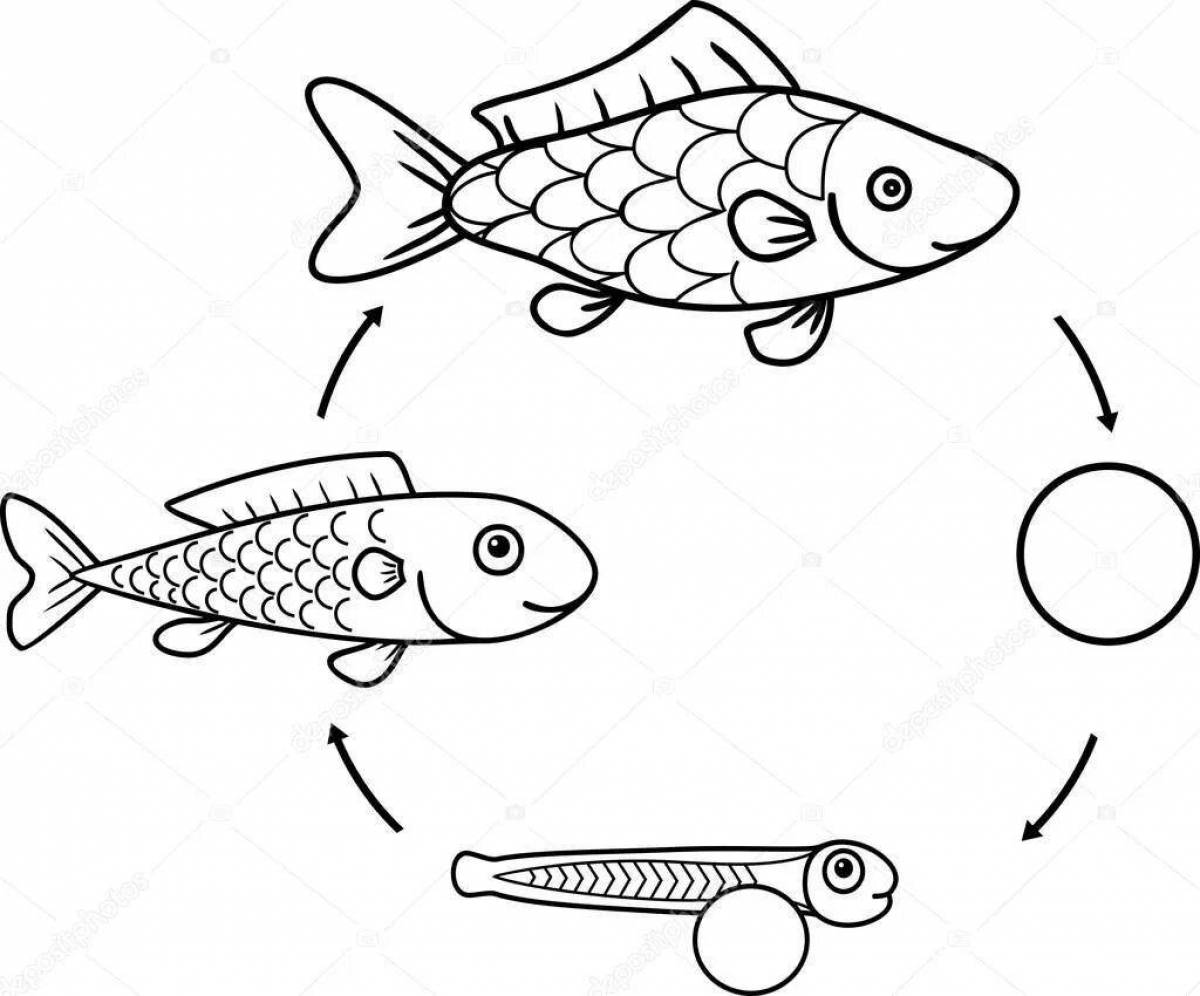 Bright pattern of fish coloring book